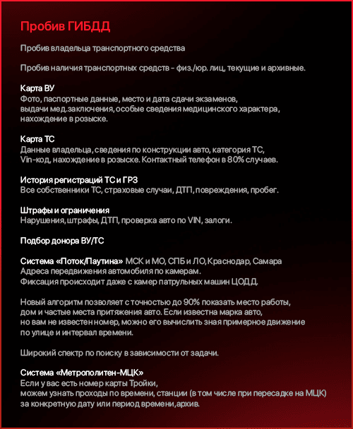 Пробив ГИБДД.png