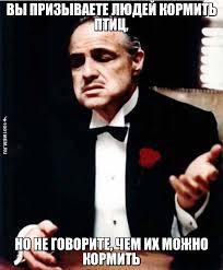 загруженное.jpg
