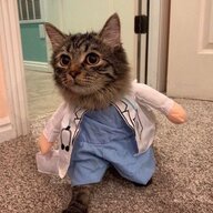 MeowWeow