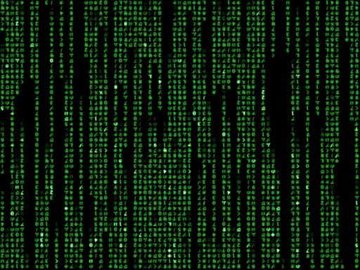 AnX_404