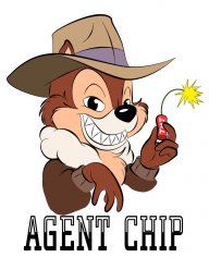 Chip