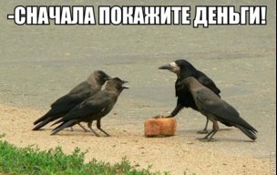 Грифоззз