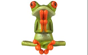 FoZen