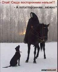 Vong