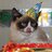 grumpy_cat